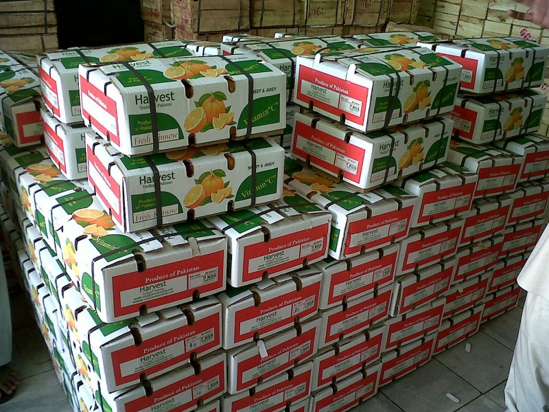 Почти 20 тонн китайских фруктов и овощей задержали на границе
